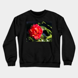 Glowing bright red rose Crewneck Sweatshirt